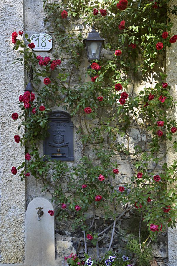 La Casa Dei Nonni Castelbianco Acomodação com café da manhã Colletta Exterior foto