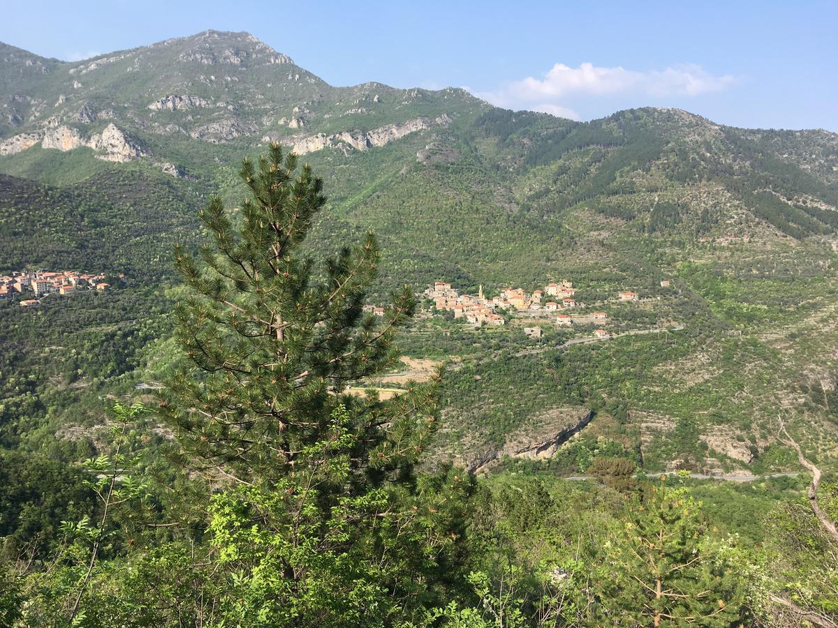 La Casa Dei Nonni Castelbianco Acomodação com café da manhã Colletta Exterior foto